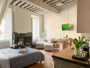 Lovely nest in Parma centro Parma